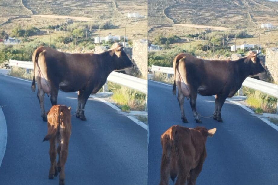 Παστούρωμα