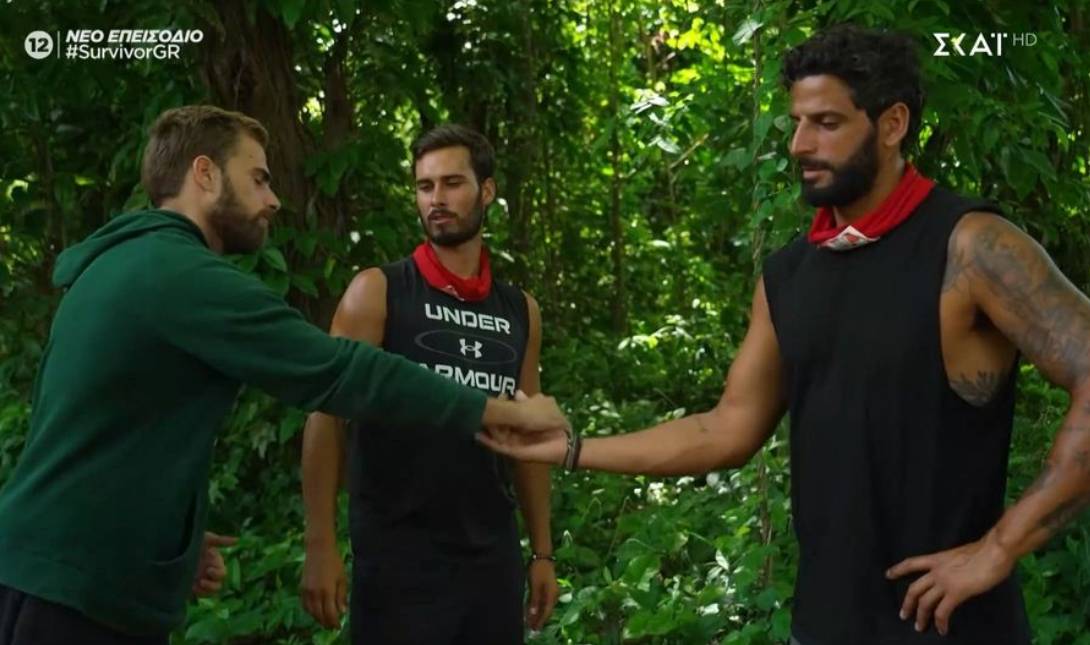 Περπατάρης survivor