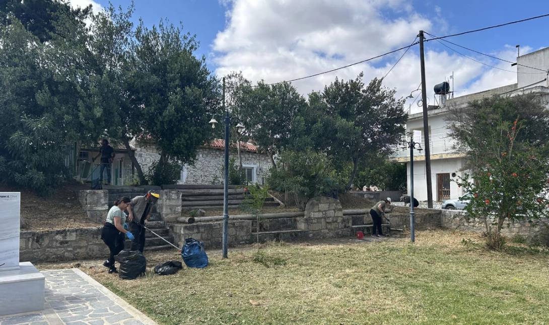 Πετροκεφάλι καθαρισμός οικοπέδων