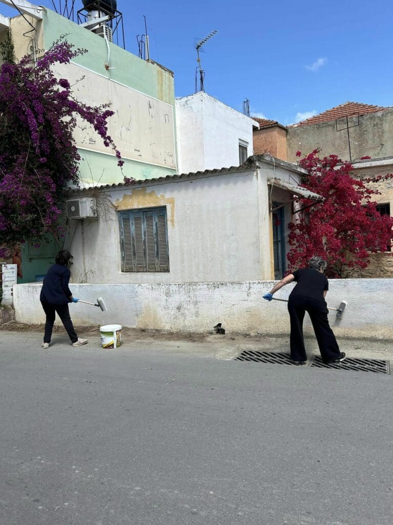 Πετροκεφάλι καθαρισμός