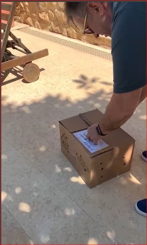 πουλί