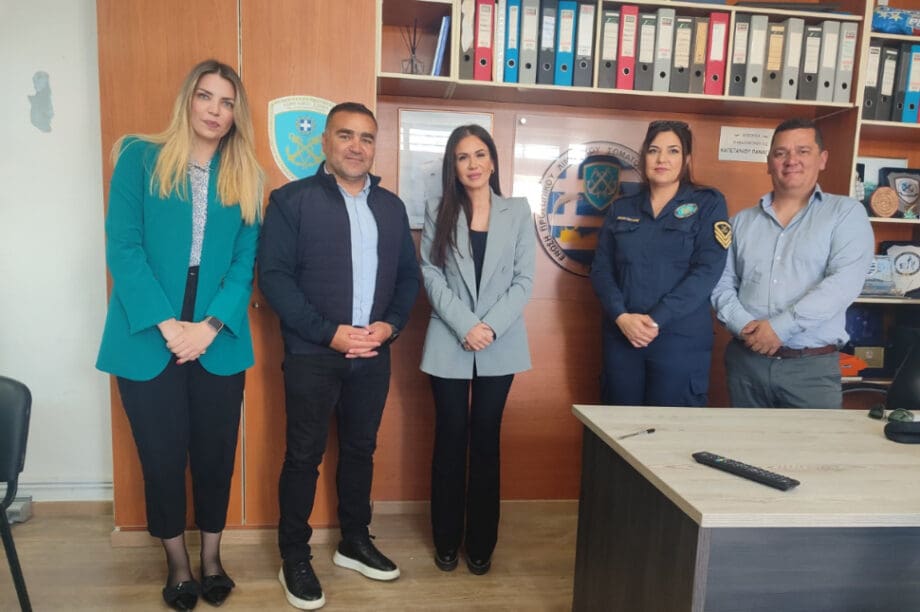 Ελένη Βατσινά