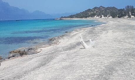 Χρυσή