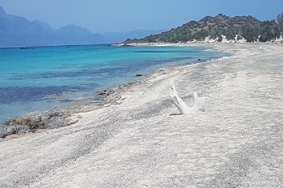 Χρυσή
