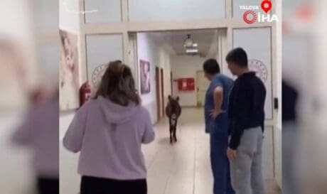 Tουρκία