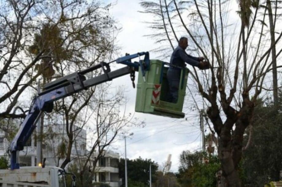 κλαδέματα
