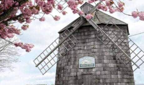 Walk With Me: Hamptons