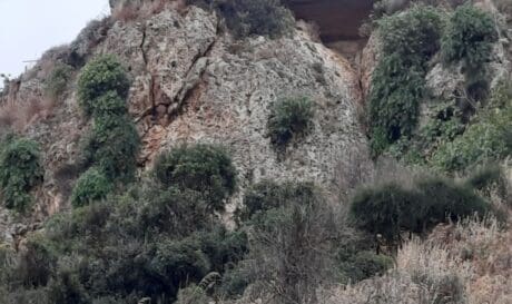 Δήμος Πλατανιά