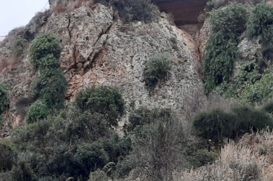 Δήμος Πλατανιά
