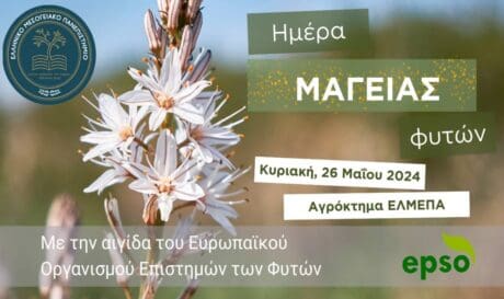 ΕΛΜΕΠΑ