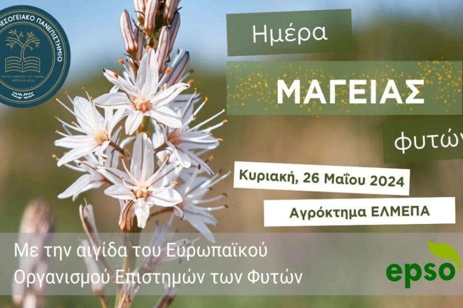 ΕΛΜΕΠΑ