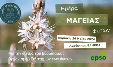 ΕΛΜΕΠΑ εκδηλωση