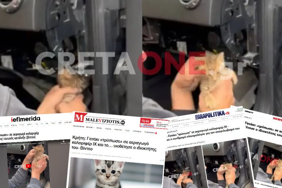 γάτα