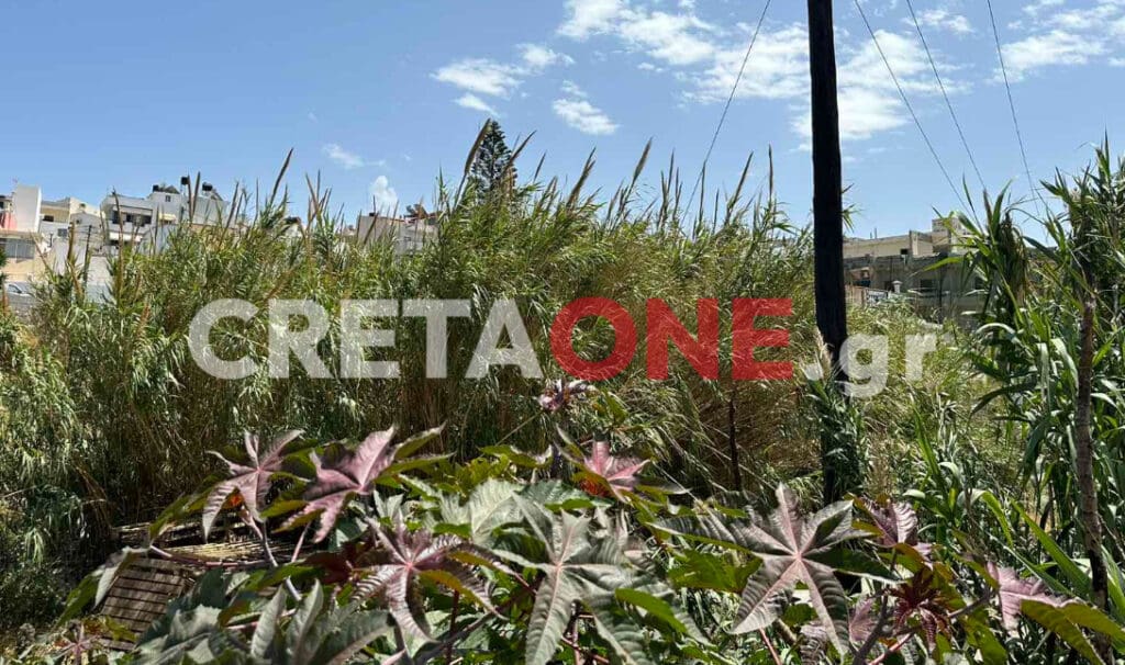 Κατσαμπάς κίνδυνος πυρκαγιάς