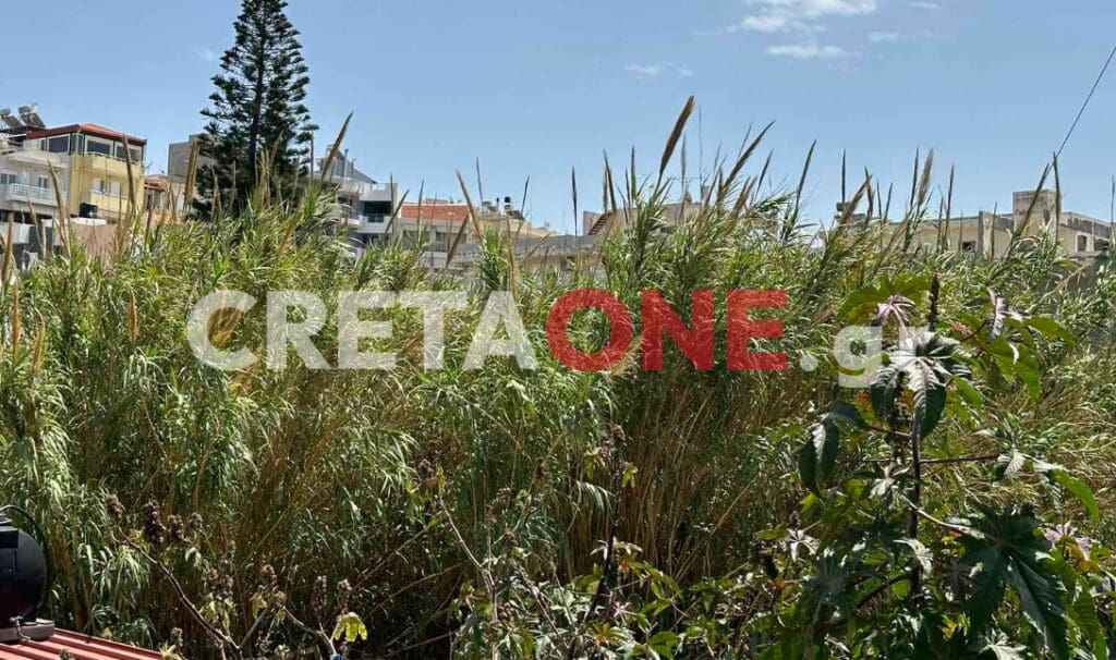 Κατσαμπάς κίνδυνος πυρκαγιάς