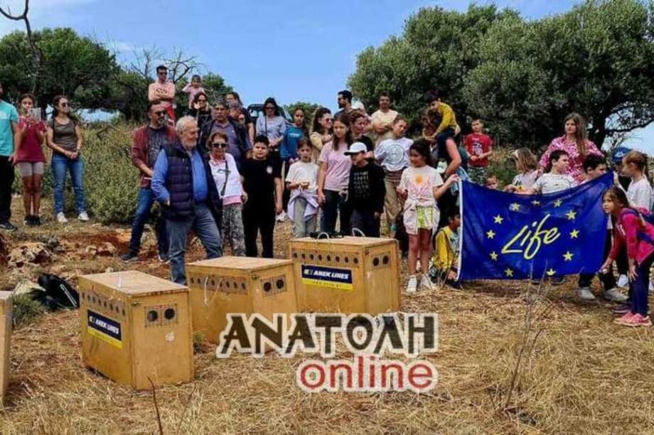 Κρούστας