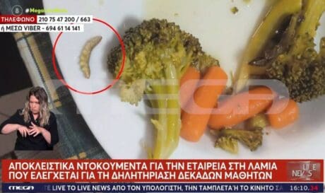 λαμία χαλασμένα γεύματα