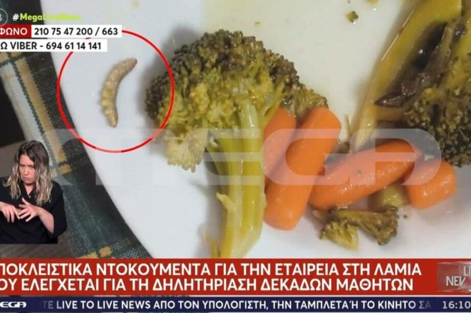 λαμία χαλασμένα γεύματα