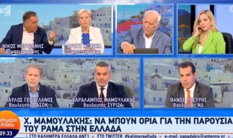 Χάρης Μαμουλάκης