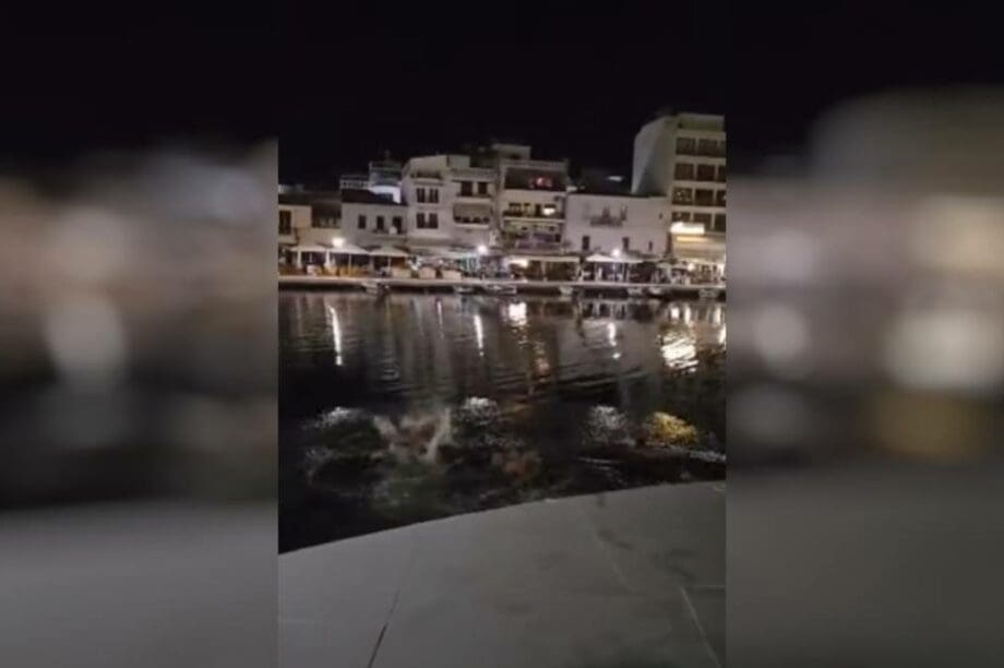 Ολυμπιακός