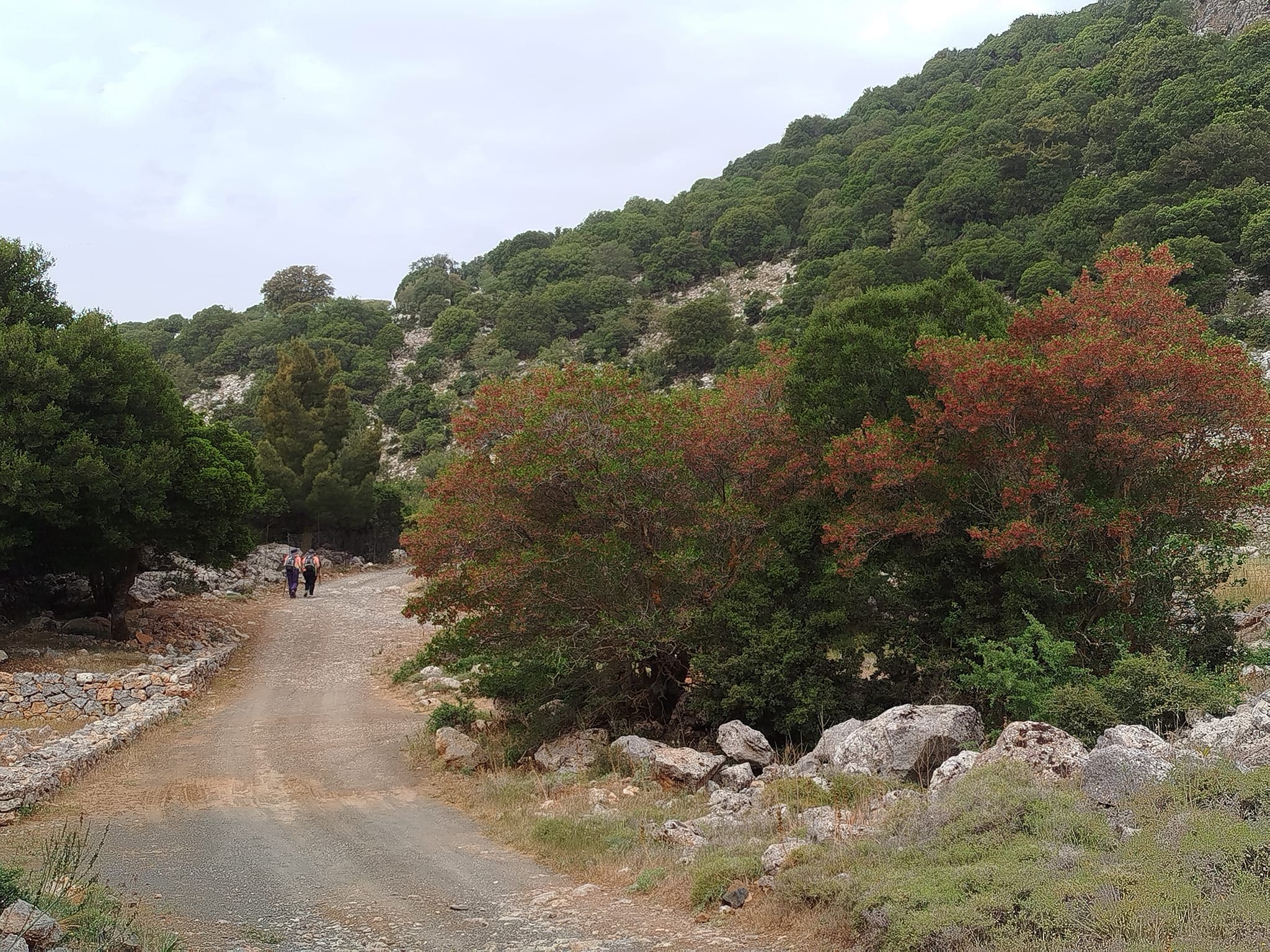 Ορειβατικός Σύλλογος Αγίου Νικολάου