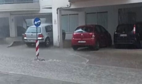 pinakida viral
