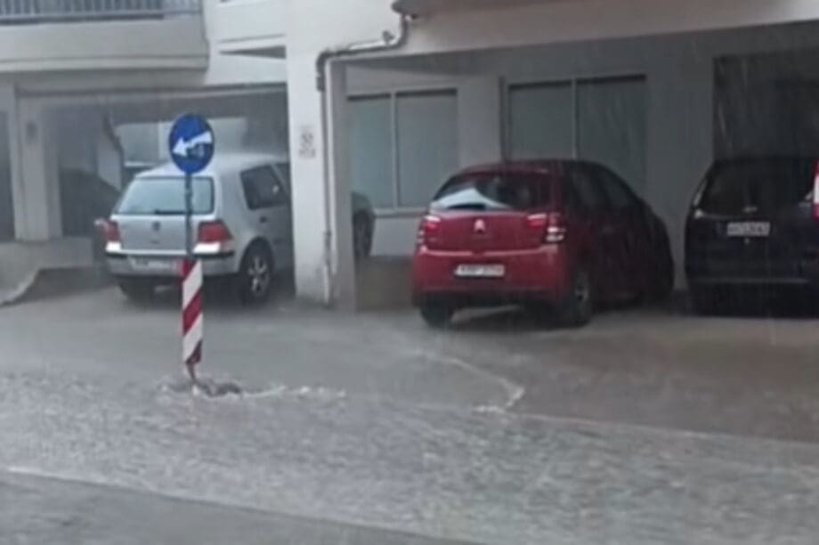 pinakida viral