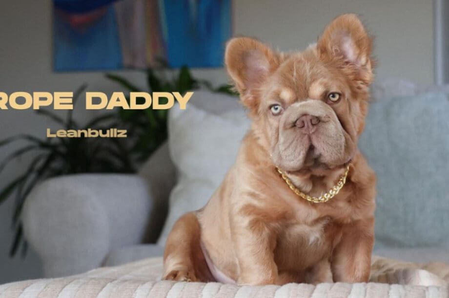 Rope Daddy