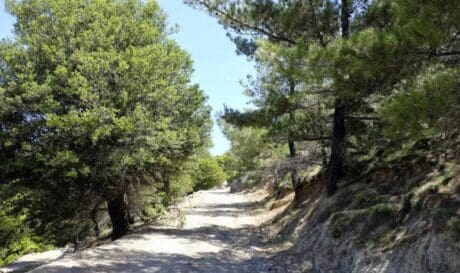 Σελάκανος