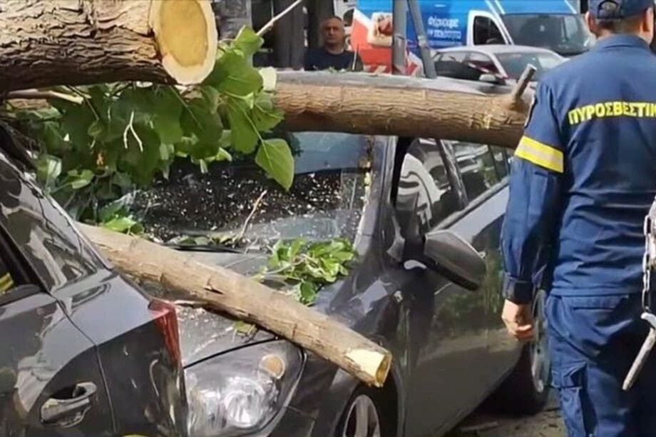 πτώση δέντρου