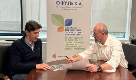 Τριάντης Γιαλιτάκης