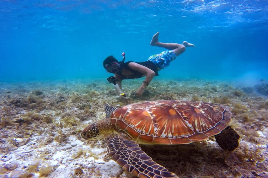 Snorkeling