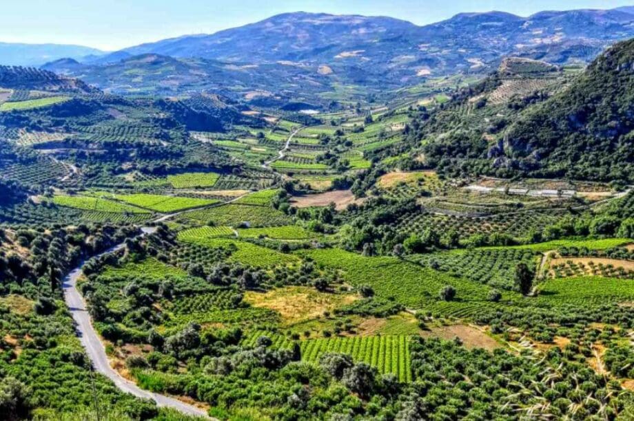 Βενεράτο