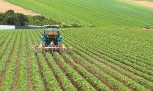 Αγρότες: Έγιναν οι πληρωμές για το αγροτικό πετρέλαιο – Δείτε αναλυτικά