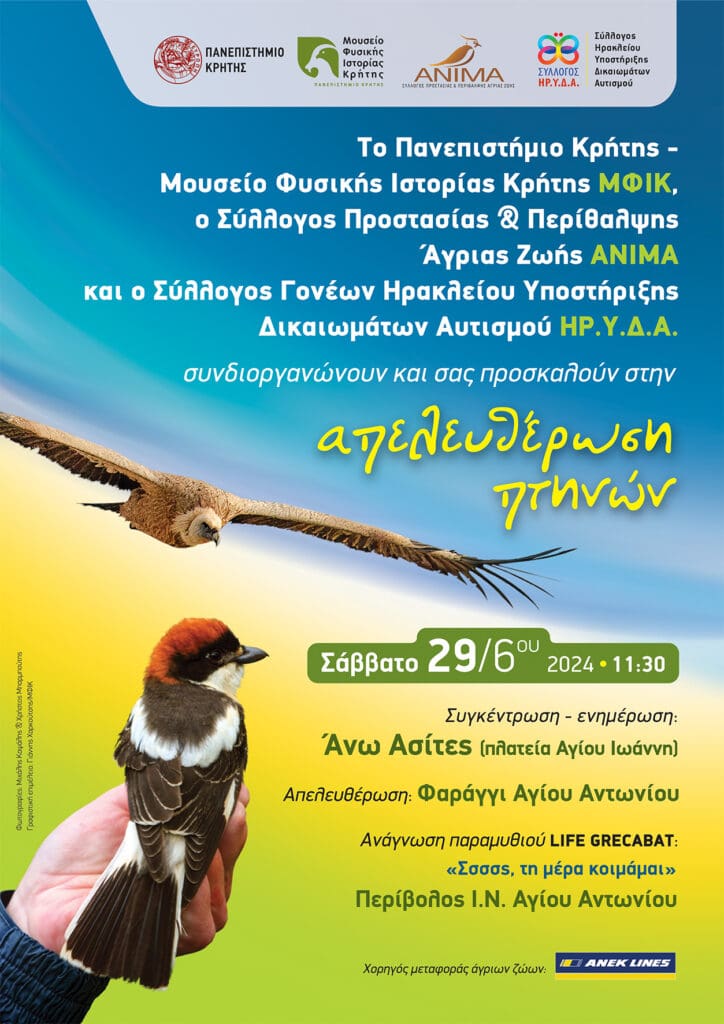 Απελευθέρωση πτηνών