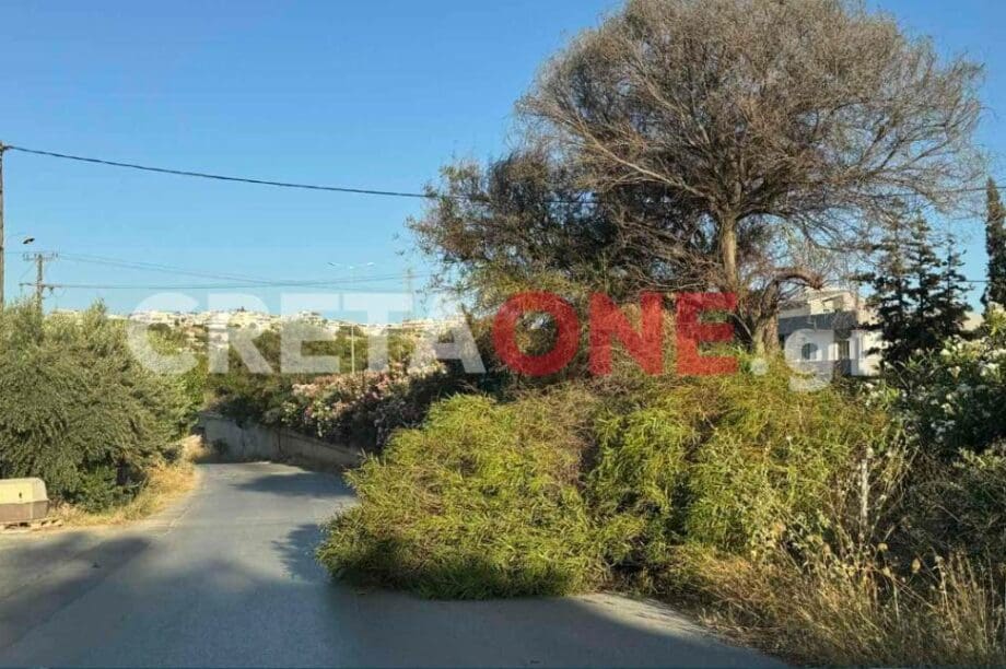 δέντρο Ηράκλειο