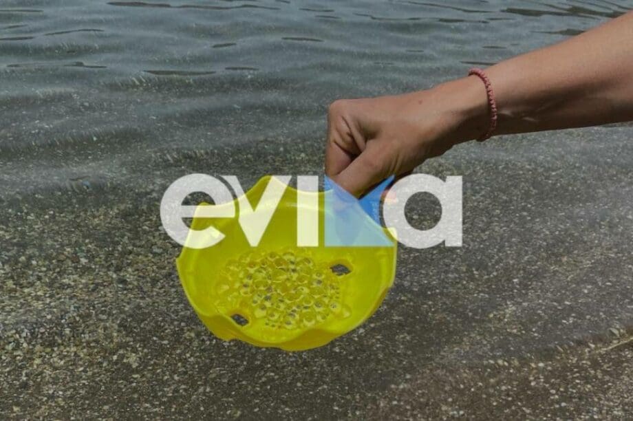 Εύβοια