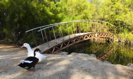 Καλό χωριό