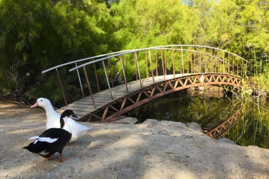 Καλό χωριό