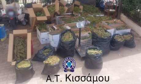 Κίσσαμος κάνναβη