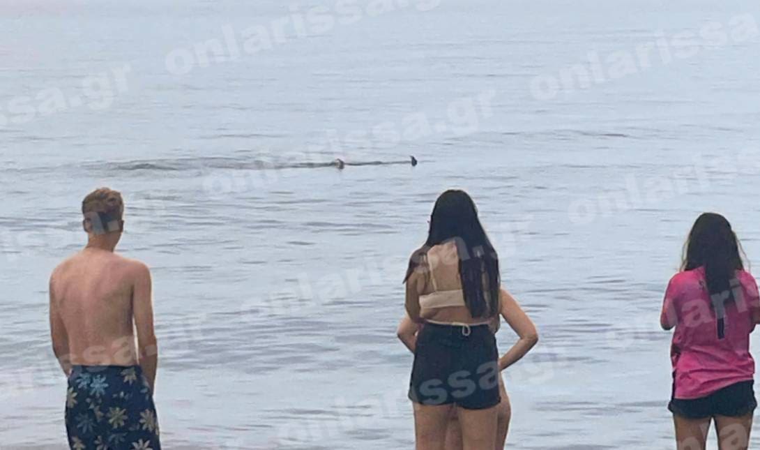 Λάρισα Καρχαρίας