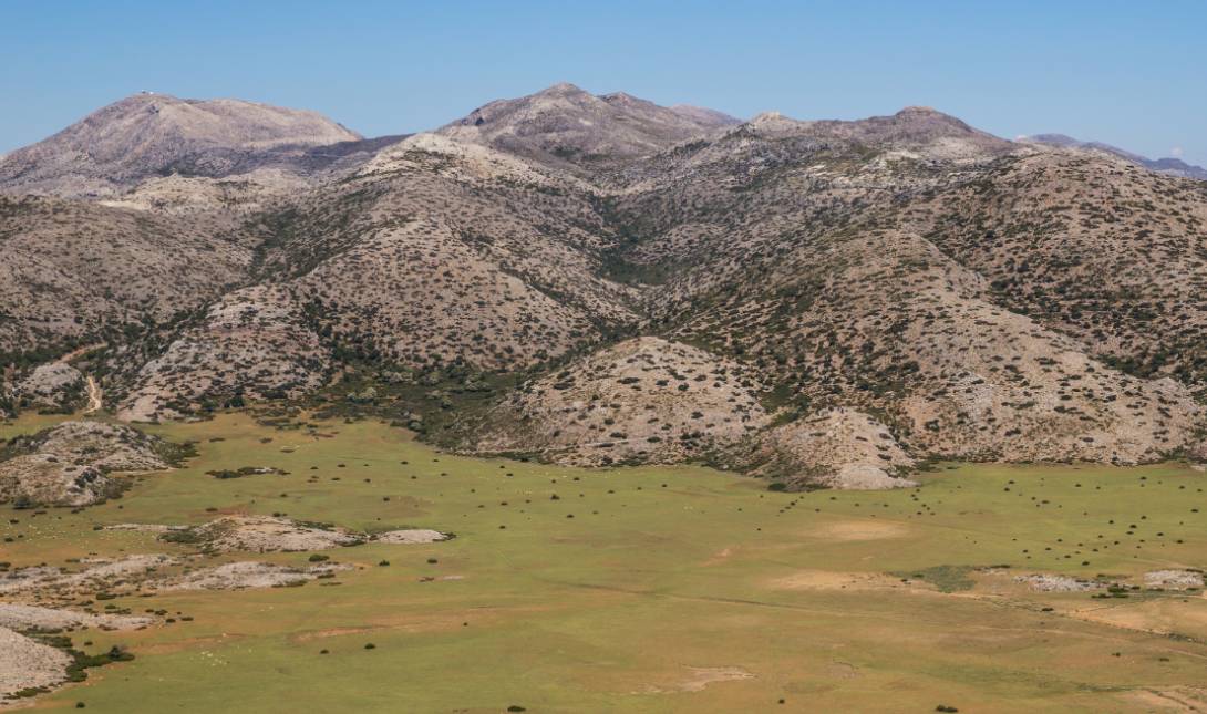Νίδα