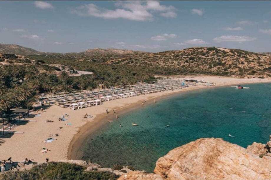 Φοινικόδασος Βάι