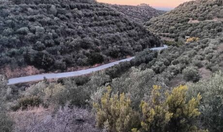 Τσιμεντοστρώσεις
