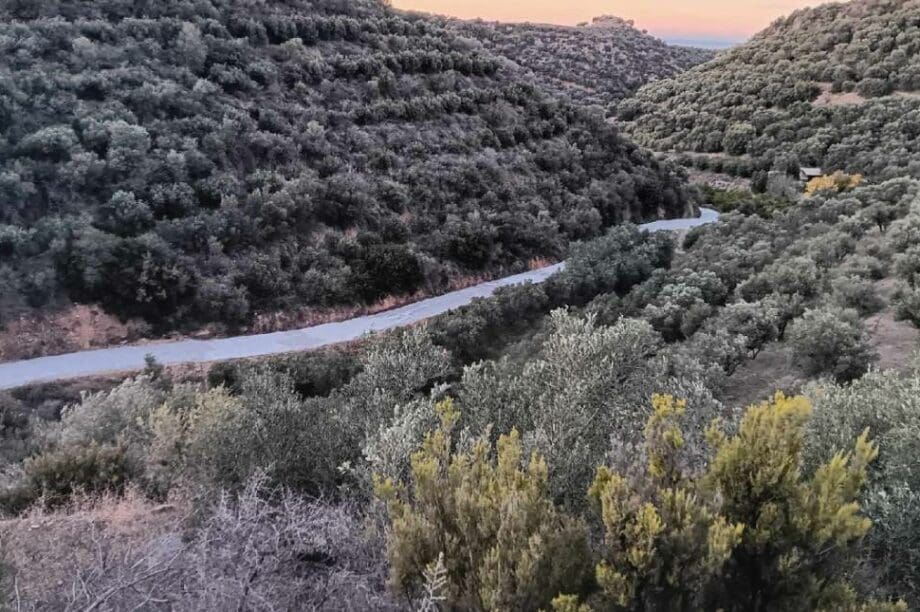 Τσιμεντοστρώσεις