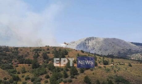 Χίος πυρκαγιά