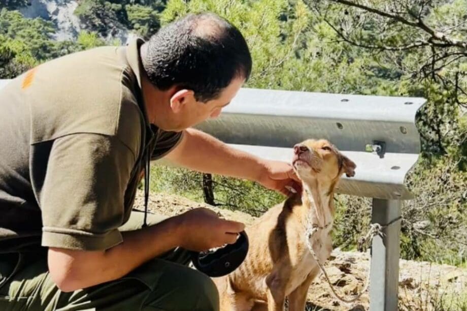 Ιεράπετρα