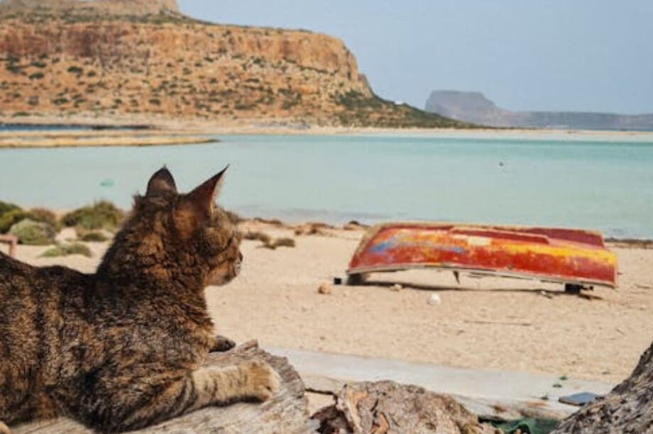 Μπάλος