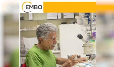 Χρήστος Δελιδάκης