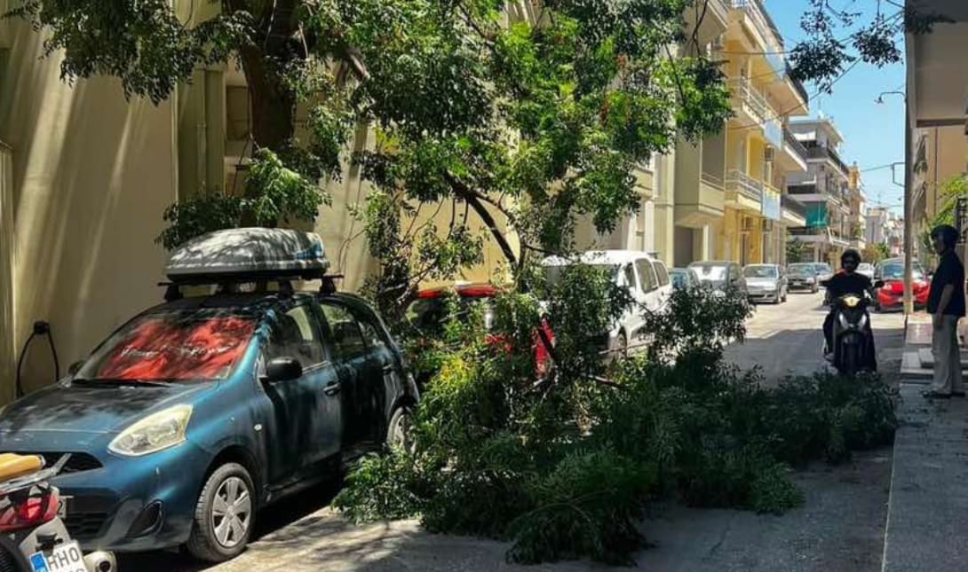 πτώση δέντρου